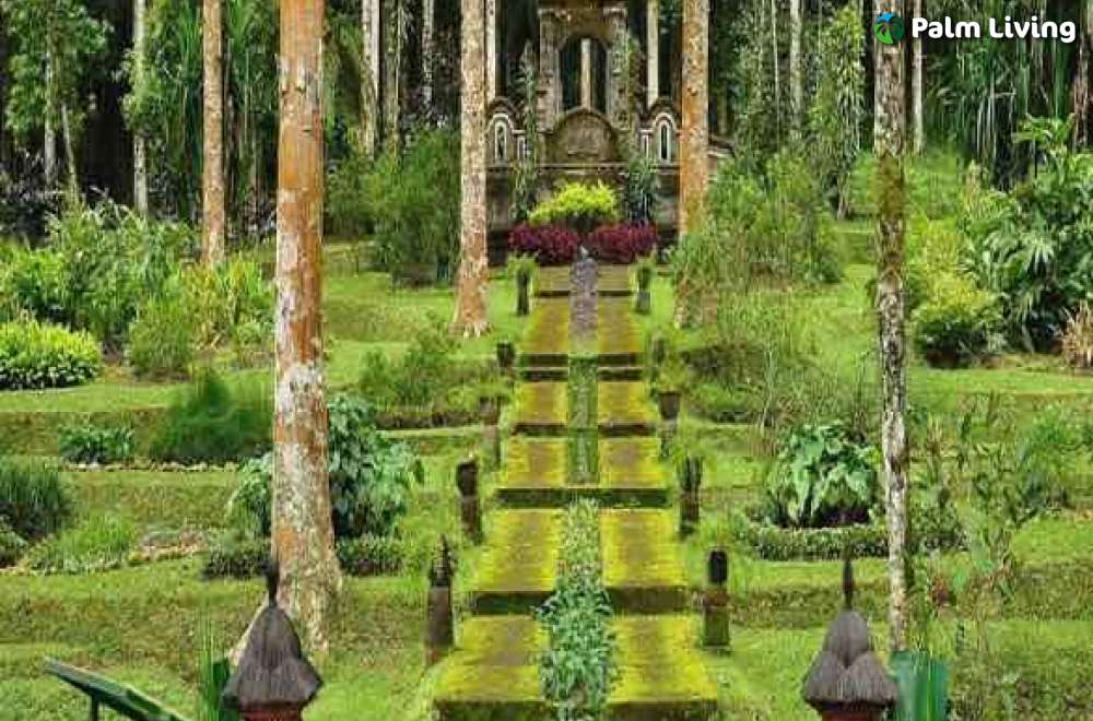 Luxury Bali Car Tour Bali Wild Tour Munduk Botanical Garden 5