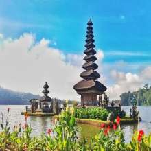 Bali Wild Tour Munduk Botanical Garden 2 - Bali VIP Car Rental and Airport Transfer