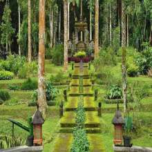 Bali Wild Tour Munduk Botanical Garden 5 - Bali VIP Car Rental and Airport Transfer